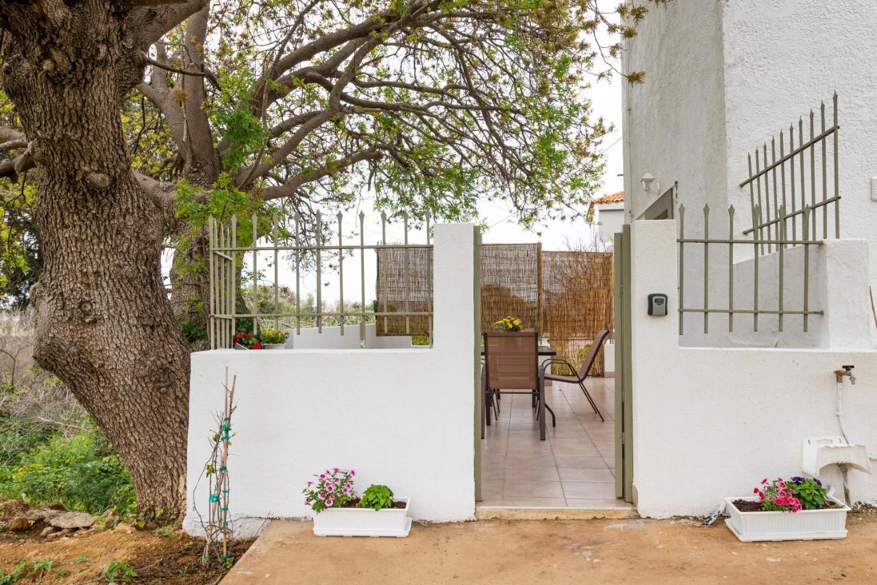 Traditional Suburbs Maisonette Miasto Kos Zewnętrze zdjęcie